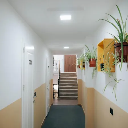 호스텔 The Maze *