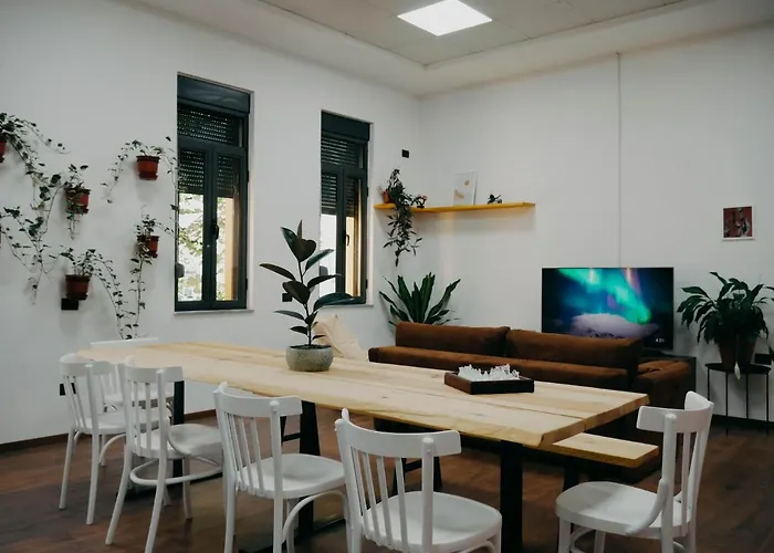 Hostel The Maze Tirana