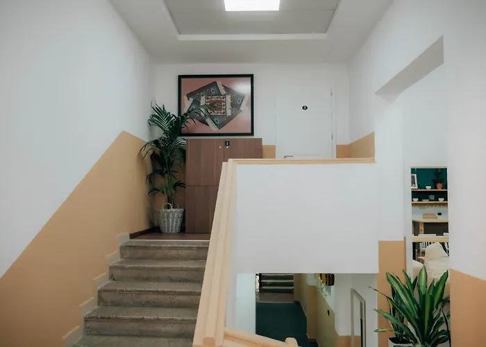 Hostel The Maze Tirana