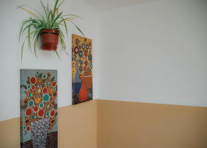 Hostel The Maze Tirana