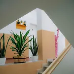 The Maze