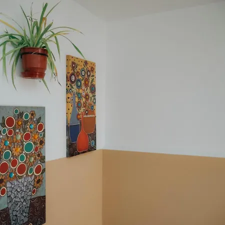 Vandrarhem The Maze Tirana